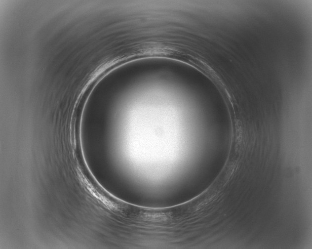 X0000086040843200703301037
