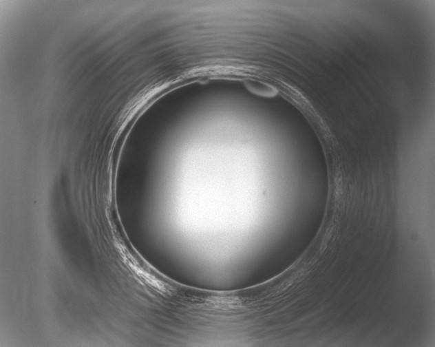 X0000086040844200703301037