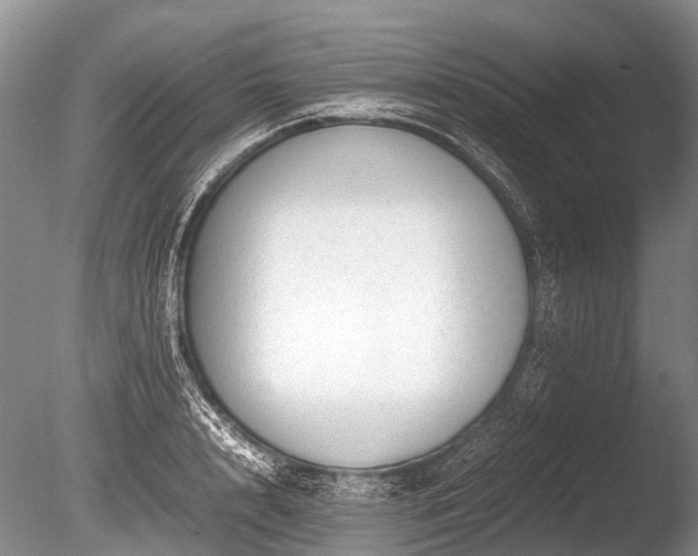 X0000086040848200703301037