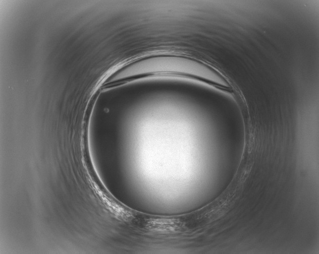 X0000086040853200703301037