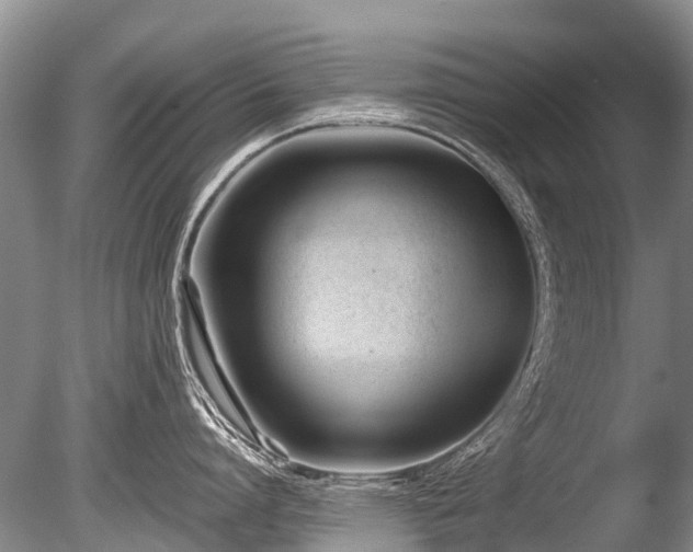 X0000086040864200703301037