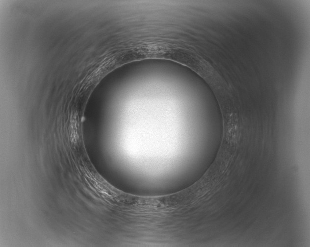 X0000086040866200703301037
