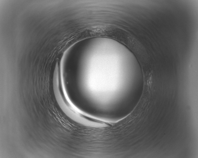 X0000086040868200703301037