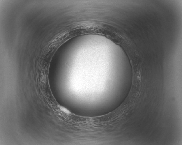 X0000086040869200703301037