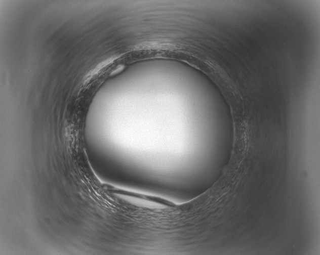 X0000086040872200703301037
