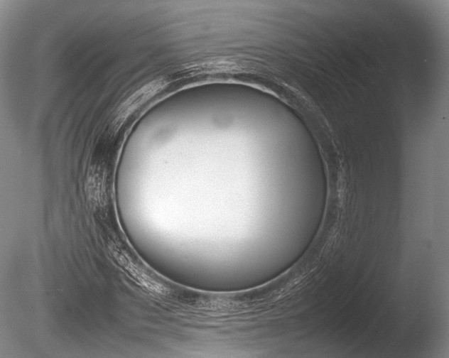X0000086040873200703301037