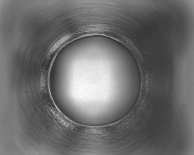 X0000086040874200703301037