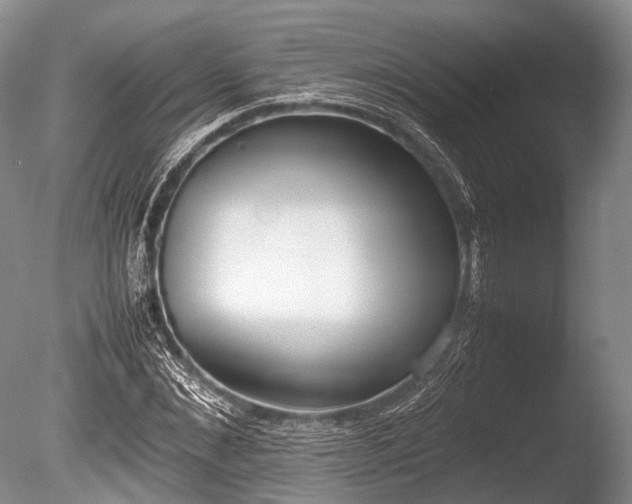 X0000086040876200703301036