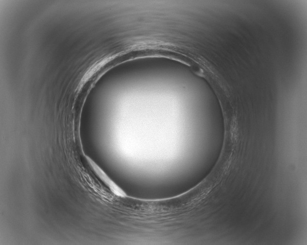 X0000086040877200703301036