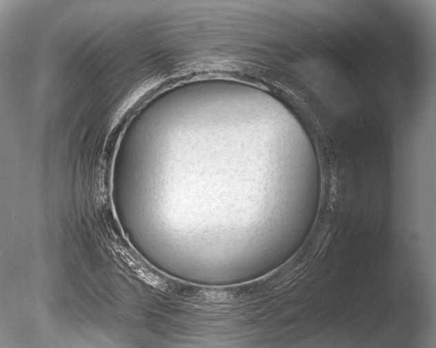 X0000086040878200703301036