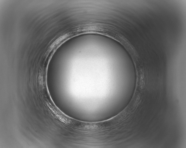 X0000086040882200703301036