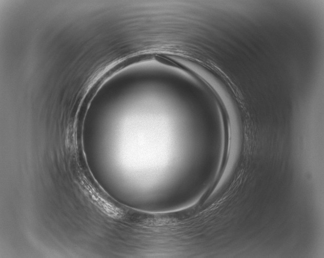 X0000086040884200703301036