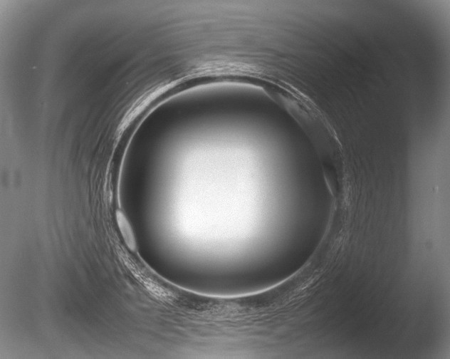X0000086040885200703301036