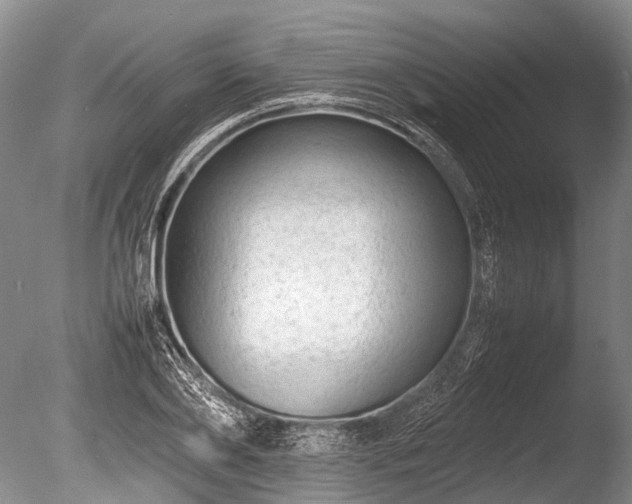 X0000086040886200703301036