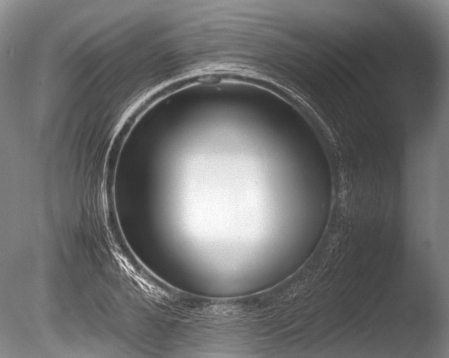 X0000086040888200703301036