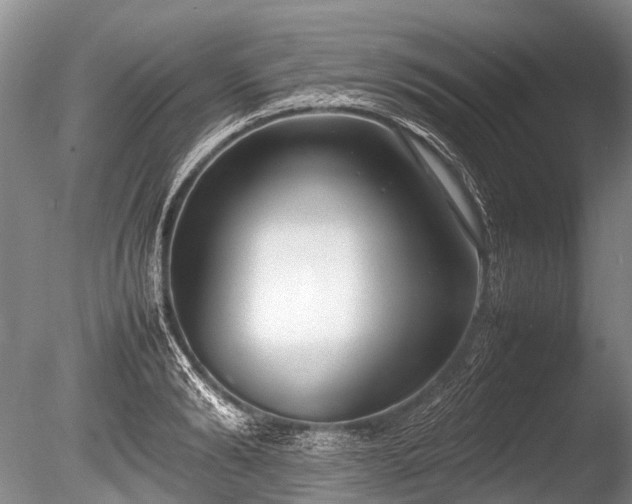 X0000086040894200703301036