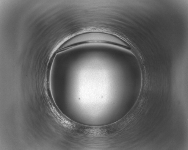 X0000086040896200703301036