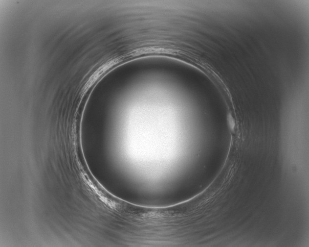 X0000086040898200703301036