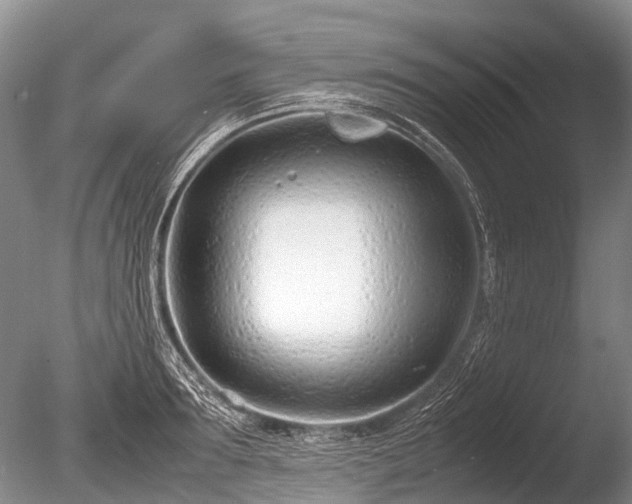 X0000086040899200703301036