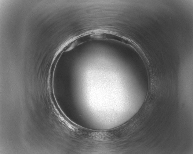 X0000086040902200703301036