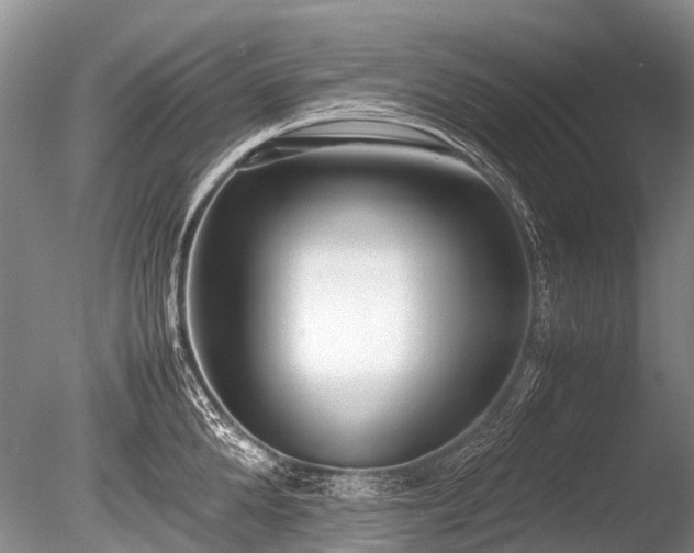 X0000086040904200703301036