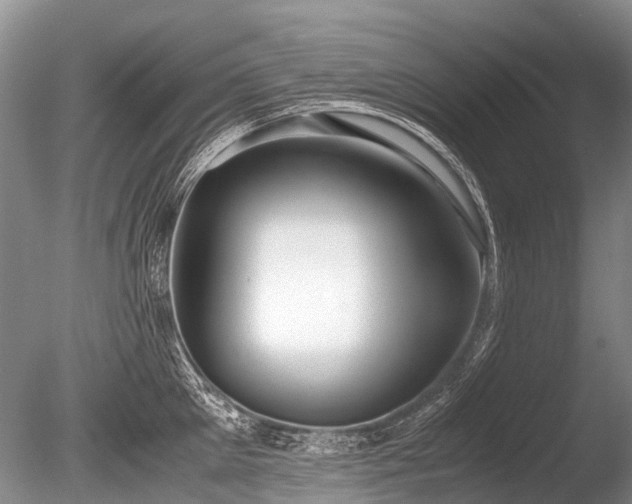 X0000086040905200703301036