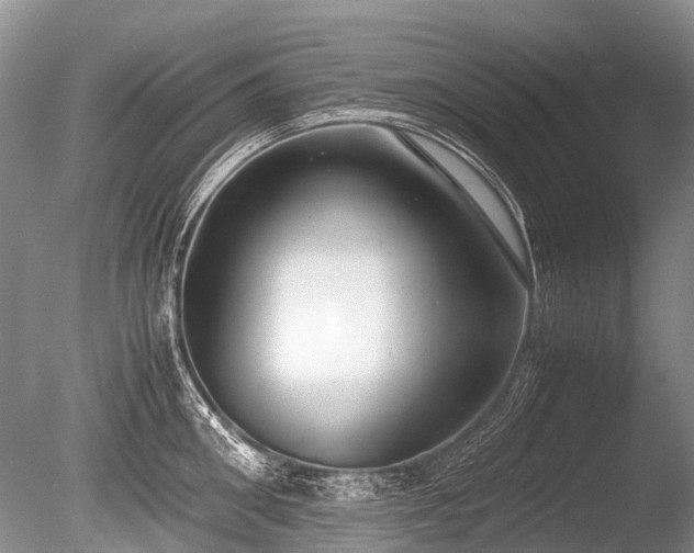X0000086040906200703301036
