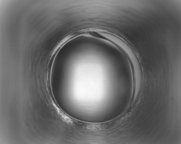 X0000086040909200703301036