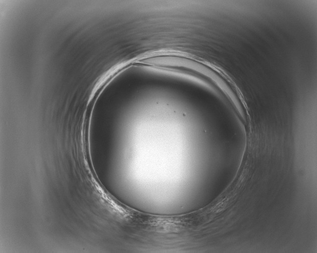 X0000086040910200703301036