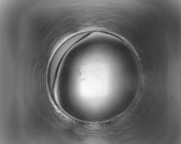 X0000086040911200703301036
