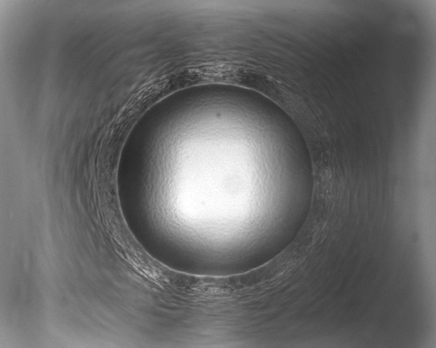 X0000086040913200703301035