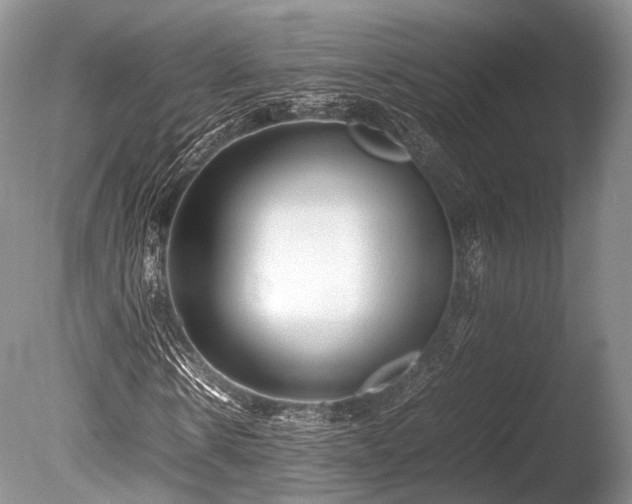 X0000086040914200703301035