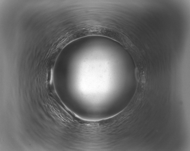 X0000086040916200703301035