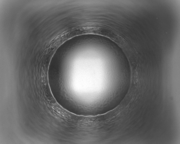 X0000086040917200703301035