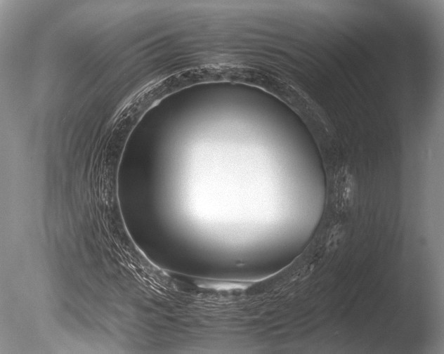 X0000086040919200703301035