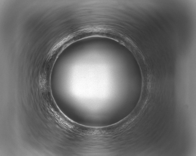X0000086040922200703301035