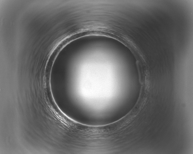 X0000086040924200703301035
