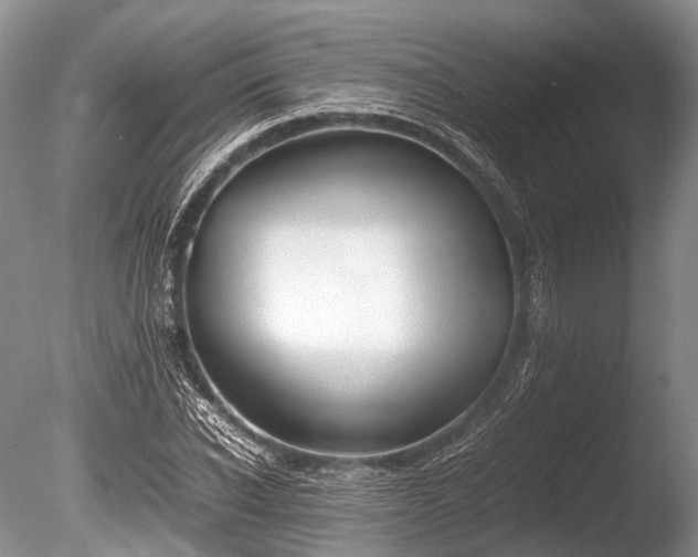 X0000086040926200703301035