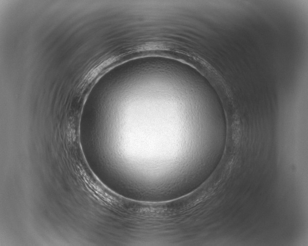 X0000086040929200703301035