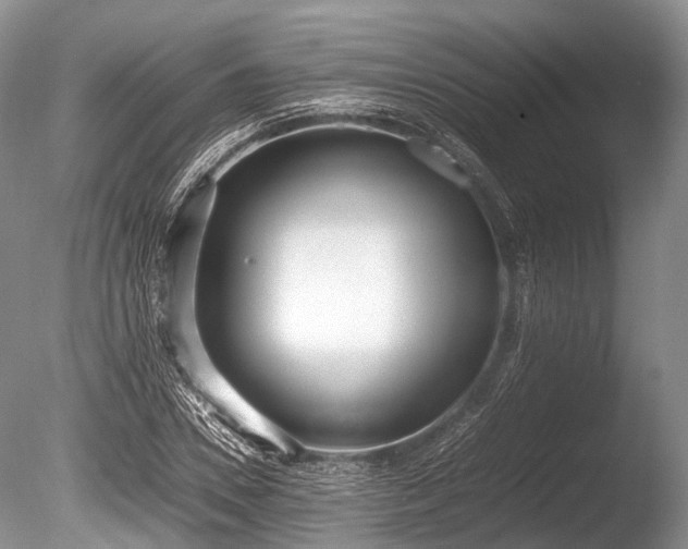 X0000086040930200703301035