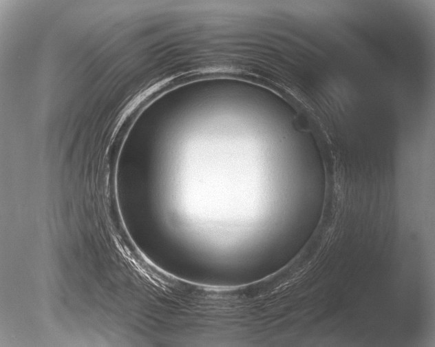 X0000086040933200703301035