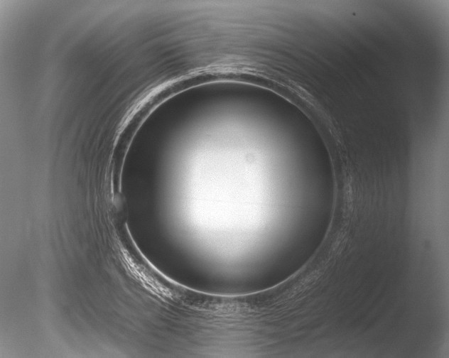 X0000086040934200703301035