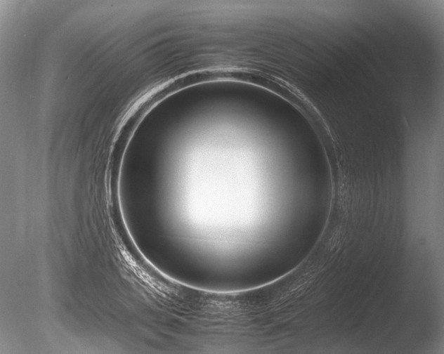 X0000086040935200703301035