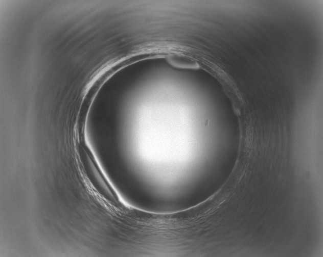 X0000086040936200703301035