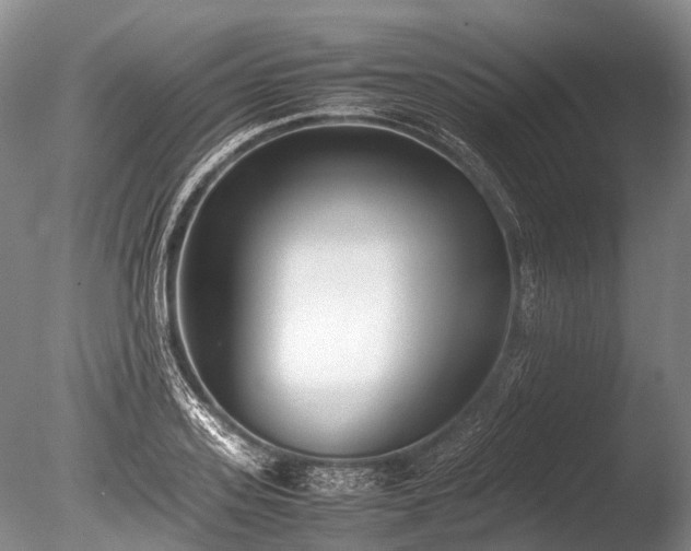 X0000086040939200703301035
