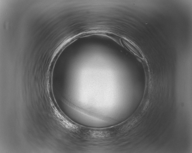 X0000086040941200703301036