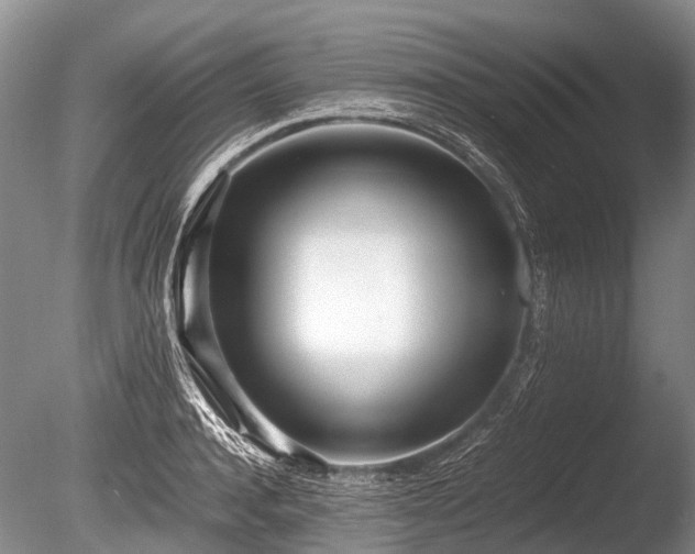 X0000086040944200703301036