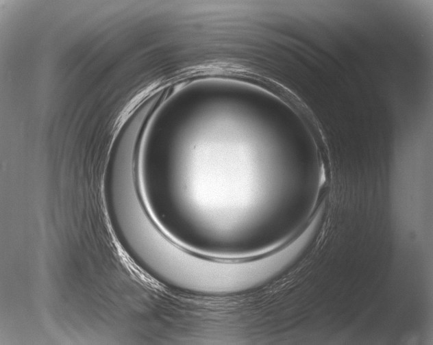 X0000086040946200703301036