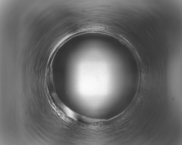 X0000086040948200703301036