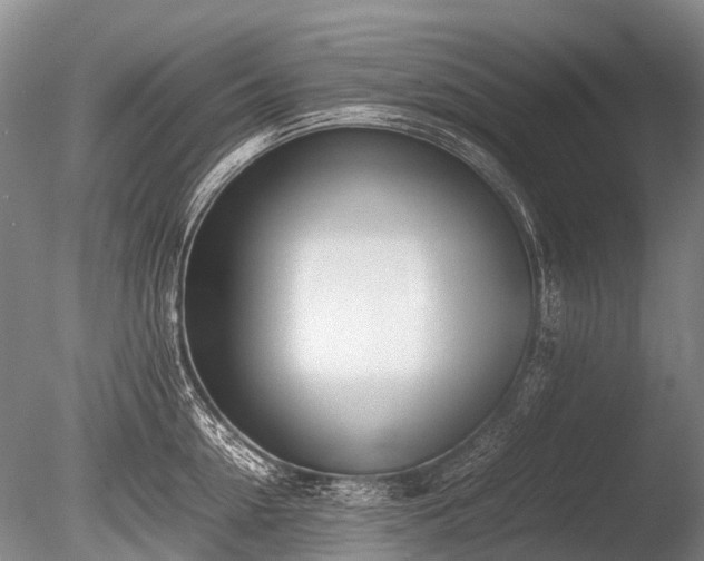 X0000086040954200703301036